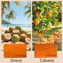 Car Air Freshener- Original Wood Air Freshener-Car Odor Eliminator for Visor Clip-Long Lasting Scent, Vehicle Scent Diffuser for Truck, SUV, Sedans - 4 pack Included 2 Clips (Teak-Amber-Cabana-Grove)