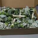 Wedding Artificial Bridesmaids Bouquets Set of 6- Faux Babys Breath White Fake Gypsophila Bouquet for Bridesmaid, Real Touch Small Bouquet for Bridesmaids Wedding Bridal Shower Centerpieces - 7 Inch