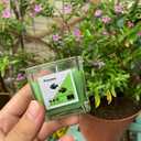 12 Constellations Premium Votive Scented Candles Set - 12 Unique Scents Including Lavender, Vanilla, Lemon & Mint, 100% Natural Soy, Non-Toxic, Small Candles for Aromatherapy, Gifts & Home Dcor