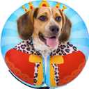 SCENEREAL Dog Cone Alternative After Surgery Donut Collar, Soft Pet Recovery Pillow Collar for Medium Large Dogs, Inflatable Adjustable Neck Collars to Prevent Licking, King Print E-Collars M