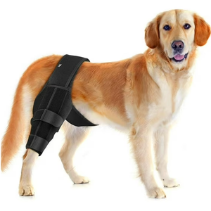 Joypig Dog Sleeve for Rear Legs to Stop Licking, Upgraded Surgical Recovery Sleeve for Hind Back Leg Wound,TPLO, ACL Surgery, Light Comfortable Cone Alternative (L-Left,Light Grey)