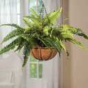 OakRidge Fully Assembled Artificial Fern Hanging Basket Set of 2  Indoor/Outdoor Use  23  L