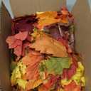 DearHouse 6 Pack Fall Garland Maple Leaf Clearance, 5.9Ft/Piece Hanging Vine Artificial Autumn Garland Thanksgiving Decor for Home Wedding Fireplace Party Christmas (Brown)