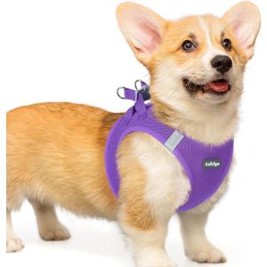 rabbitgoo Small Dog Harness, Step-in Soft Mesh Puppy Vest with Safety Buckle, Breathable Reflective Pet Harness for Dogs, Purple, Large