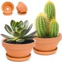 2 Pack 8 Inch Shallow Succulent Terracotta Pots with Drainage Hole and Saucer, Clay Plant Pots for Indoor and Outdoor Planter, Bowl Planter for Orchid, Cactus, Flowers