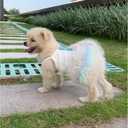 YQYS Pet Vest Dress, Tutu Skirts for Puppy, Summer Sundresses for Small Dogs and Cats Rainbow Color Large