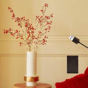 Birchlitland Red Berries Branch Lights Battery Powered with Timer for Christmas Party Decor Artificial Willow Twigs with Lights 32IN 80 LED