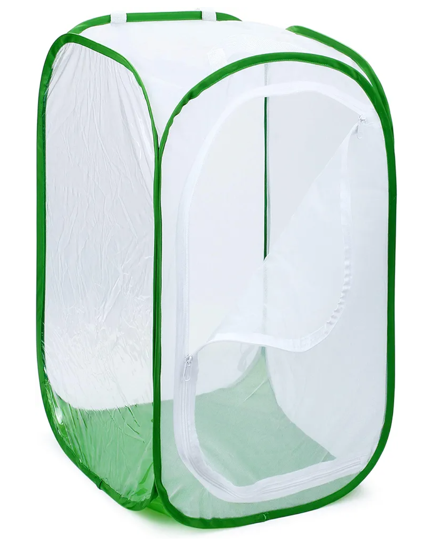 4 Feet Extra Large Monarch Butterfly Habitat, Giant Collapsible Insect Mesh Cage Terrarium Pop-up (White + Green, 28 x 28 x 48 Inches)