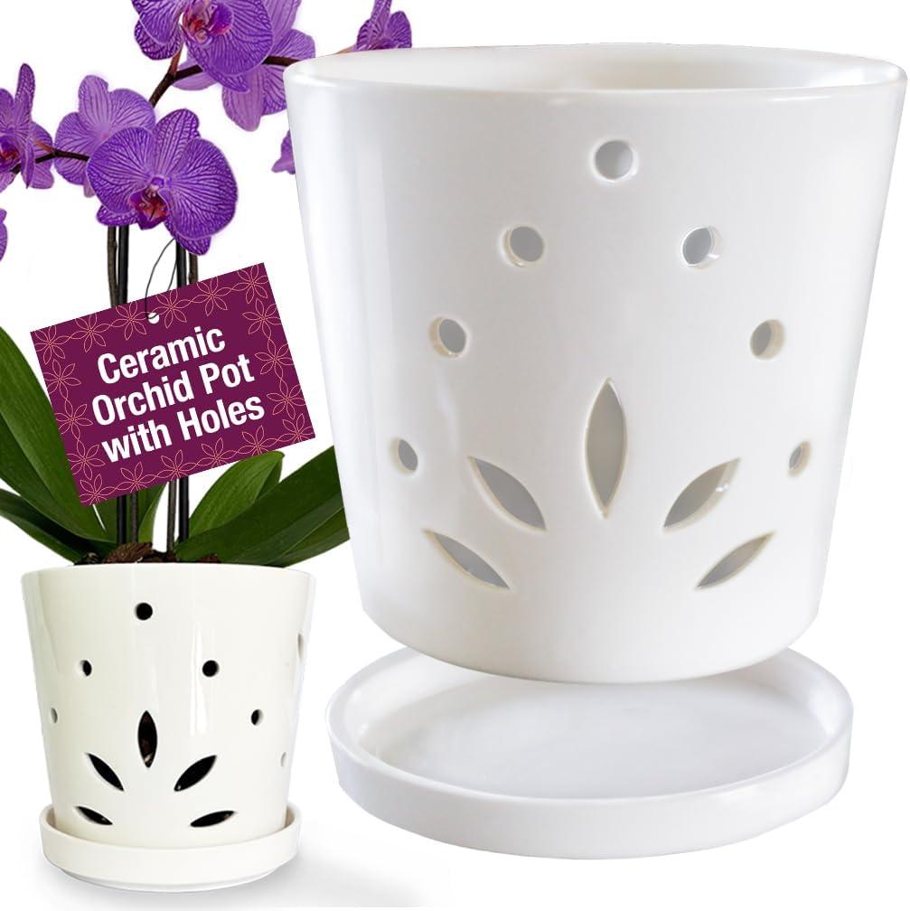 Atri Orchid Pot with Holes6.5in Modern Porcelain Indoor Orchid PlanterLarge Orchid Pots for RepottingCeramic Orchid PlanterDrainage Holes