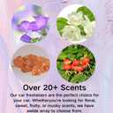 Car Air Freshener 2 Pack Hanging Air Freshener Diffuser - Fragrance Oil Air Diffuser for Car, 60+ Days Long Lasting FragranceSuitable for both men and women (2 bottles, bluebell flower)