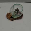 Small Hand-Blown Melted Glass Fish Bowl Vase Terrarium on Driftwood Base  Decorative Centerpiece Full or Empty
