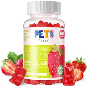 2 x Pets Purest Glucosamine Chondroitin Gummies with MSM & Elderberry Extra Strength - Joint Support, Antioxidant Immune Support Supplement for Adults, Men & Women.Strawberry