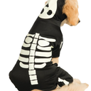 Rubies Glow in The Dark Skeleton Pet Costume for Dogs or Cats, Large
