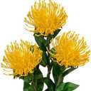 Hollyone 3Pcs Yellow Artificial Flowers Mums Spider Mum Flower 28.3'' Long Stem Fake Chrysanthemum Flowers Leucospermum Cordifolium Arrangement Faux Pincushion Flowers Bouquet for Office Home Decor