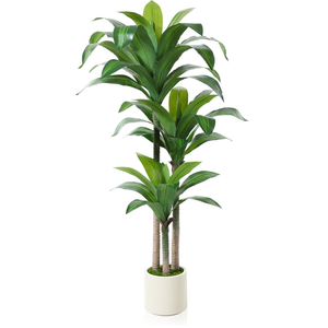 Artificial Dracaena Tree 5ft, Tall Fake Dracaena Plants with White Planter, Faux Dragon Tree Indoor Floor Plant for Home Decor Office Living Room Porch Housewarming, 1Pcs
