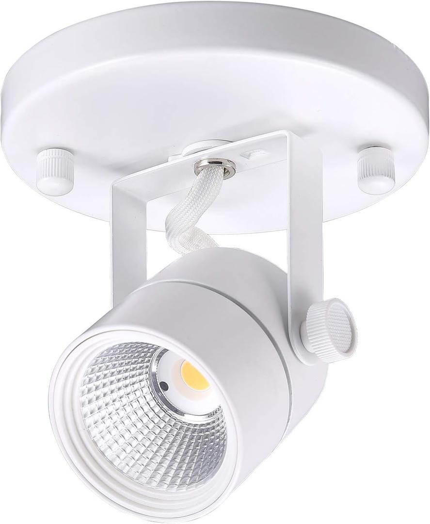 CLOUDY BAY LED Flush Mount Ceiling Spot Light,CRI90+ 8W 600lm 3000K Warm White Dimmable, Adjustable Tilt Angle Ceiling Light Fixture, White Finish