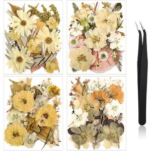 Nuanchu Pressed Flowers Bulk Dried Flower for Crafts, Dried Wildflowers Leave Natural with Tweezer for Resin Mold Scrapbooking Nail Soap Making DIY(Retro Style,Warm Color)