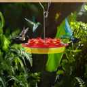 ROYALITA Best Hummingbird Feeders for Outdoors Hanging, Easy Clean Fill Wasp Proof, 8 Ports, Hummingbird Feeder Gifts for Window Garden, More Birds Bird Health Ant Moat for Hummingbird