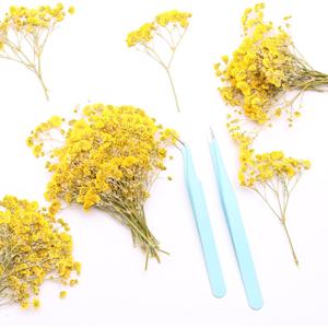 Yellow 70 Pcs Mini Babies Breath Pressed Flower for Resin Art / Invitations Card Decor/Bookmark Jewelry DIY Craft, Real Dried Pressed Baby Breath Flowers Bulk with 2 Tweezers.