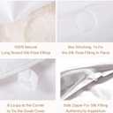 LilySilk All Season Silk Comforter/Duvet/Quilt, 100% Silk Floss Filling with 100% Cotton Cover (Twin(67x87 Inch,Silk Weight:1.25kg)