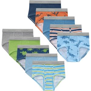 Hanes Boys' Brief Underwear, Cotton Underwear for Boys, No Ride-Up Briefs, 6 and 10 Packs (4-5T, Blue, Orange Dino, Stripes, Green)