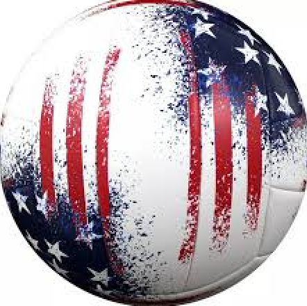 Baden Match Point Cushioned Synthetic LeatherOutdoor Recreation Backyard Volleyball + College Camp Ball All Ages Official Size