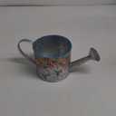 Hummingbird Flowers Multicolored 4.5 x 5 Metal Watering Can Planter