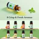 Fresh Essential Oils Set  8 Pcs Uplifting Aromatherapy Oils for Diffuser | Purifying Scents for Home,Fragrance Oil for Candle, Aromatherapy Gift Set | Lemon, Peppermint, Rosemary, Eucalyptus & More