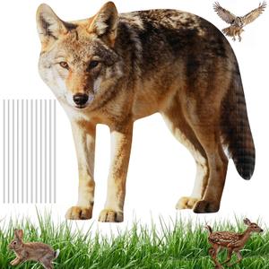 Coyote Yard Stake 30 x 24 Inch Realistic Coyote Design Weather Resistant PP Board for Lawn Yard Garden