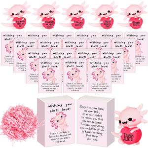 Cinnvoice 25 Set Bulk Employee Appreciation Gifts Thank You Teacher Nurse Coworker Office Staff Funny Desk Pets Cute Resin Ornament Emotional Card Box Graduation Positive Party Favor (Axolotl)