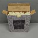 YOROXRG 36 Pack Ivory White Taper Candles, 7-8 Hours Burn Time, Unscented, Smokeless and Dripless, 0.8 x 10 Inch Dinner Candle Set for Household, Wedding, Party and Home Dcor Candlesticks