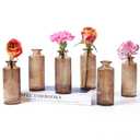 BIGIVACA Set of 6 Glass Bud Vases in Bulk,Small Amber Bud Vases,Vintage Flower Vases for Centerpieces,Rustic Wedding,Home,Table Decor (Amber 2)