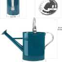 1 Gallon Metal Watering Can with Removable Spout, Nice Galvanized Steel Water Can with Embossed Design for Indoor and Outdoor Plants (Ocean Blue)