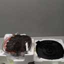 12 Egg Incubators for Hatching Eggs, Chicken Egg Incubator with Automatic Egg Turning and Temperature Humidity Control, 360 Clear View Lid or Home, Farm, Classroom, Hatching Chicken, Duck,Quail,Goose