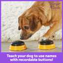 Hunger for Words Talking Pet Next Words: Names