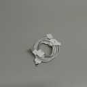 Apple Lightning to USB Cable (1 m)