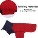 Geyecete Corgi Sweater for Dogs Corgi Clothes,Miniature Corgi Coat,Corgi Jacket for Dogs Warm Waterproof Windproof,High Neckine String Holes-Red-L