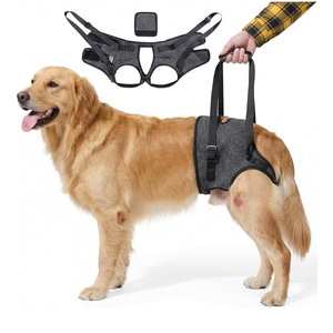 Dog Lift Harness for Back Legs–Sturdy Dog Support Sling–Hip Sling Carrier for Large Medium Canine, Stair Helper for Aid Old Ligament Rehabilitation Pet, Grey, Size: XL