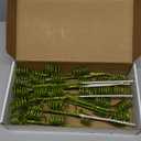 12 Pcs Lime Green Christmas Glitter Curly Tree Picks and Sprays for Tree 11.81" Artificial Glitter Stem Pick and Twigs Decorations Xmas Vase Filler Ornaments Topper Branch for DIY Wreath