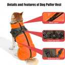 Dog Coat for Cold Weather Jacket with Harness Waterproof ReflectiveVest with Winter Neckline Adjustable Buckle Hook for Leash Thick Fleece Lining Zipper Jacket Pet for Dogs M