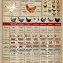 PAIION Metal Tin Signs Chicken Knowledge Detail About Chicken for Farmer for Friends Music Vintage Home Bathroom Cottage Farm Wall Decor 16x12 Inch