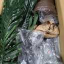 7ft Solar Lighted Palm Tree, Home Room Decor 260LED Christmas Tree, 3 Trunks Artificial Palm Trees for Outside Patio, Indoor Decorations, Outdoor Garden, Pool (Green)