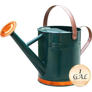 Metal Watering Can for Outdoor and Indoor Plants, Watering Can Decor, 1 Gallon (1 Gallon Green2)