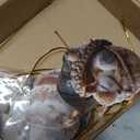 3D Forest Animal Acorn Ornaments, Cozy Forest Christmas Ornaments and Crafts, Lovely Sleeping Animal Resin Hanging Decor, 3D Rustic Nature Themed Christmas Tree Decoration