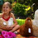 Alpaca Stuffed Animal 12 inch. Cute, Soft and Cuddly Alpaca Plush Toy Handcrafted on Real Alpaka Natural Fur (12 inches, Beige)