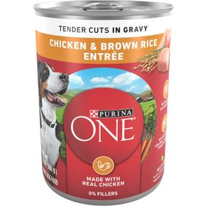 Purina ONE Natural High Protein Dog Food, Tender Cuts in Gravy Chicken and Brown Rice Entre - 13 Ounce (Pack of 12) (EXP 04/30/28)
