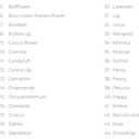 Floral Harmony - Mandala Coloring Book for Adults: 50 Unique Flowers to Color with Vivid and Relaxing Designs Spiral-Bound