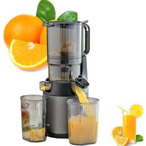 ZOCWJK 300W Slow Juicer for Fruits and Vegetables with Wide Feeding Chute, Portable Design and Pomace Separation Feature - Perfect for Healthy Green Juices (Grey