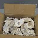 YOUKE OLA 50PCS Oyster Shells 3"-4" Oyster Shells Bulk Oyster Shells for Home Decor Vase Filler, Ornaments, DIY Arts and Crafts Sea Shells, Deeper Shells