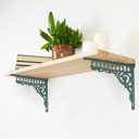 BRASSTAR Cast Iron Green European Style Wall Shelf Brackets Thick Wall Hanger Antique Home Farmhouse Decorative 2PCS Large 10.6in (Length) TQGJPT157